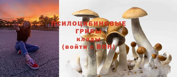 ПСИЛОЦИБИНОВЫЕ ГРИБЫ Алексеевка