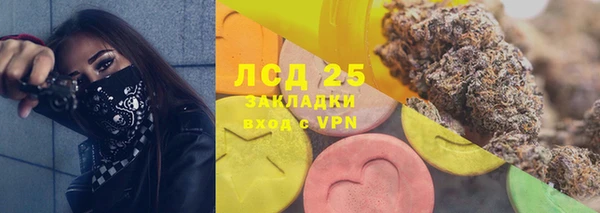 ПСИЛОЦИБИНОВЫЕ ГРИБЫ Алексеевка