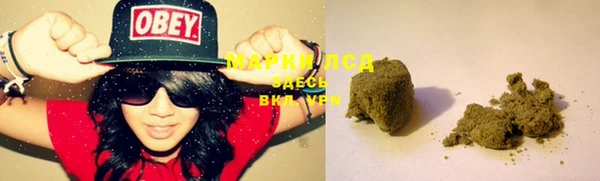 ПСИЛОЦИБИНОВЫЕ ГРИБЫ Алексеевка