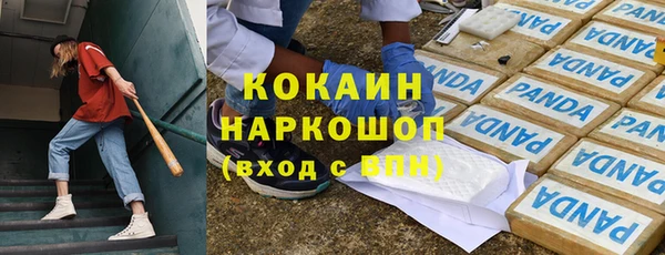 гашик Алексин